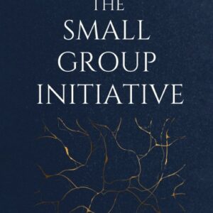 The Small Group Initiative (Paperback)